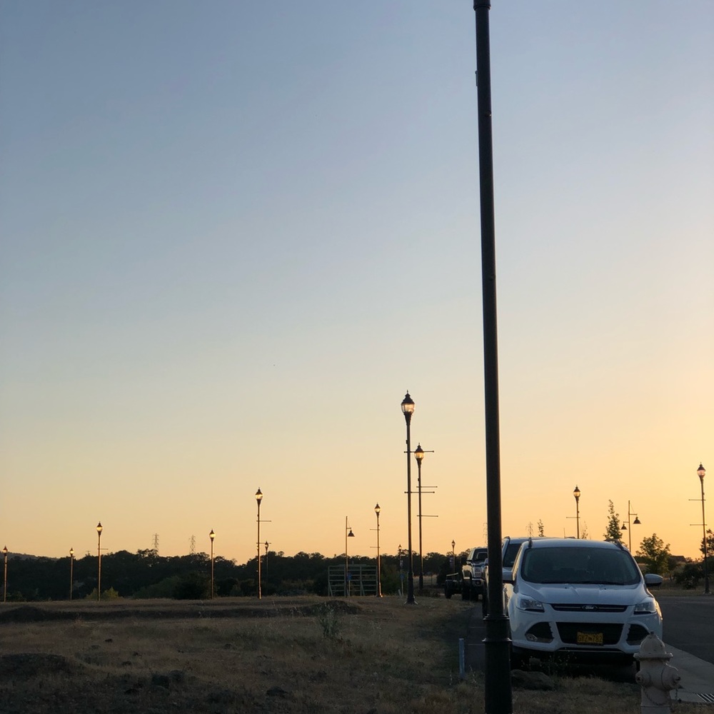 Meet your Posher, Ashlyn